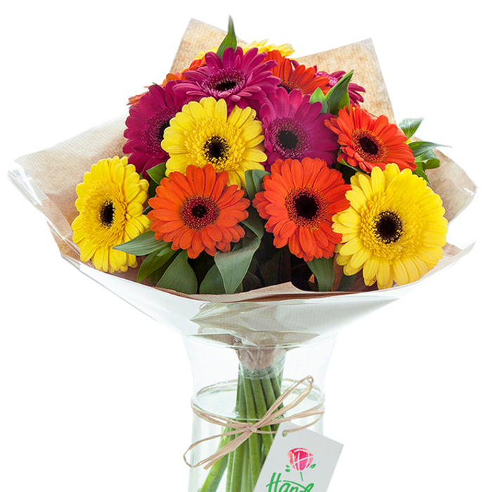 A lavish arrangement of fresh-cut Gerbera daisies, hand-crafted by skilled florists in Bishop's Stortford, sits confidently in a classic glass vase against a crisp, white backdrop. The bouquet features an exuberant mixture of radiant yellow, vivid orange, and intensely fuchsia petals, each bloom marked with a pronounced, deep brown or black center that brings bold contrast and a sense of graphic elegance. Between the show-stopping flowers, clusters of shiny green foliage contribute depth and a touch of the verdant countryside beyond Grange Paddocks. Wrapped in a tactile, softly crinkled kraft paper that hints at the artisanal touch of Bishop's Stortford flower shops, the bouquet is further encased in a gleaming cellophane layer that protects the blooms while highlighting their natural brilliance. Through the vase's transparent body, fresh stems can be seen dipping into clear water-an emblem of the bouquet's just-gathered freshness. A simple length of brown raffia binds the stems at their base, adorned with a neat white card displaying a charming red rose. Every detail of this composition, from its cheery colours to its rustic finishes, speaks of thoughtful care-ideal for marking special occasions, decorating airy rooms along South Road or Silver Leys, or sending a heartfelt gift that brims with the local character and warmth of Bishop's Stortford.